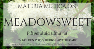 Meadowsweet