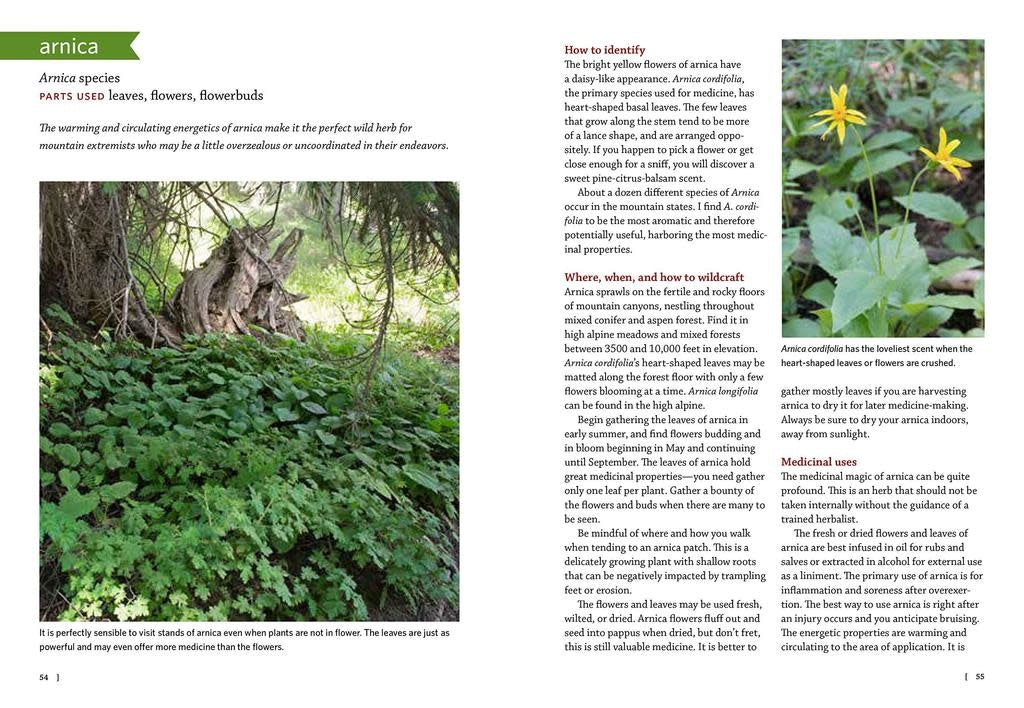 Mountain States Medicinal Plants - Briana Wiles