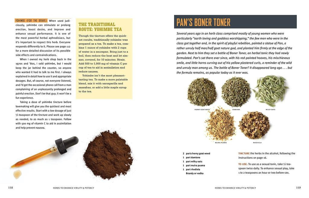 Herbal Healing for Men - Rosemary Gladstar