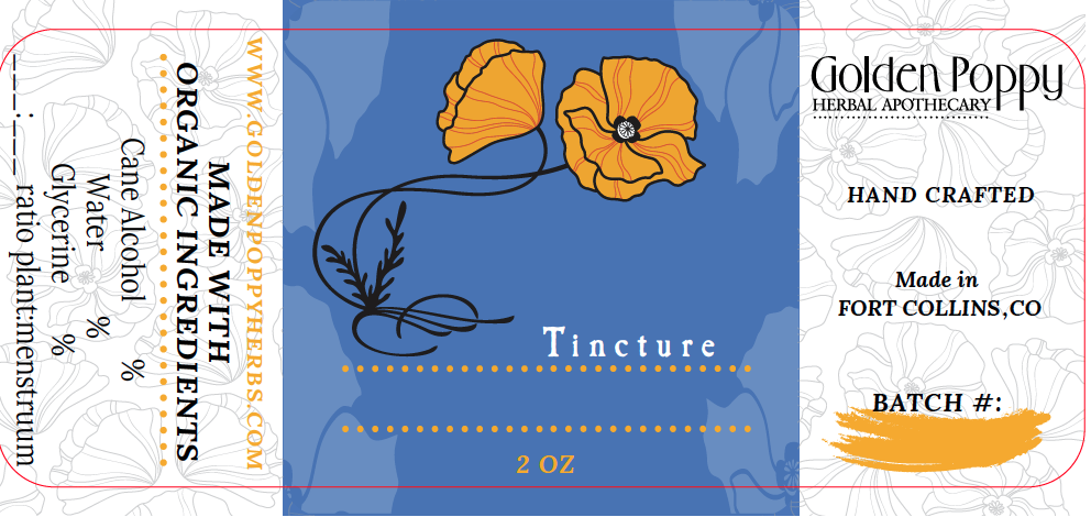 Ashwagandha Tincture Bottle