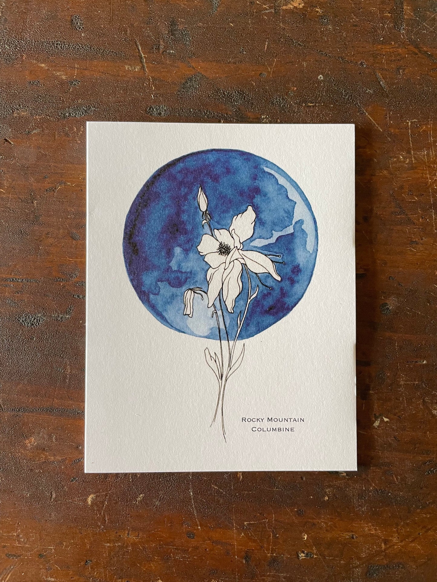 Erika Lee Greeting Cards -