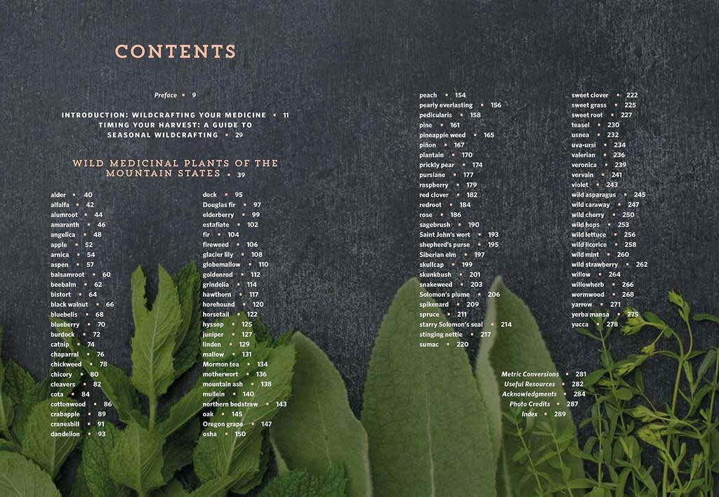 Mountain States Medicinal Plants - Briana Wiles