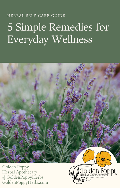 Herbal Self-Care Guide: 5 Simple Remedies for Everyday Wellness (Ebook)