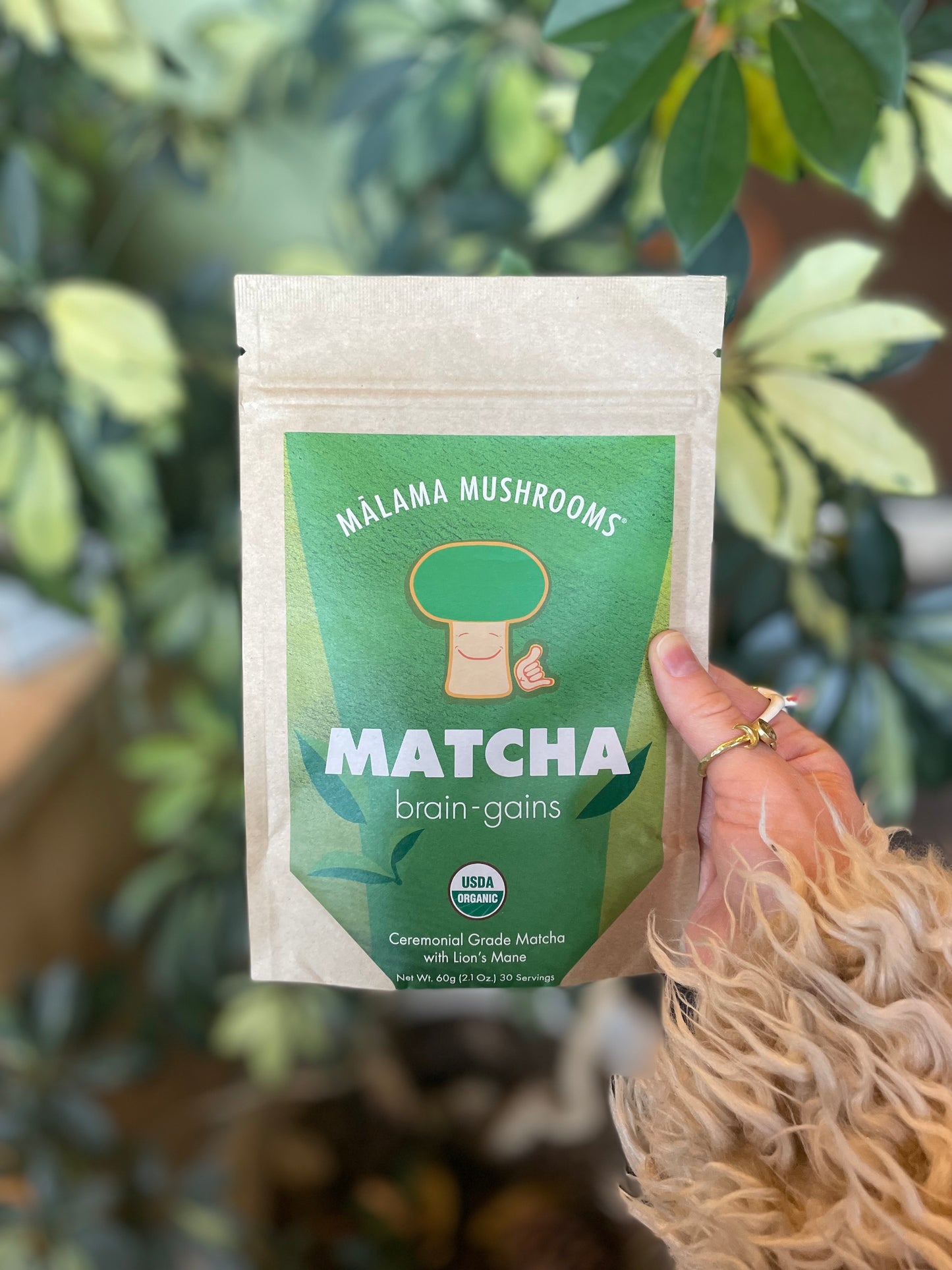 Lion's Mane Matcha - Malama Mushrooms 3.5 oz bag