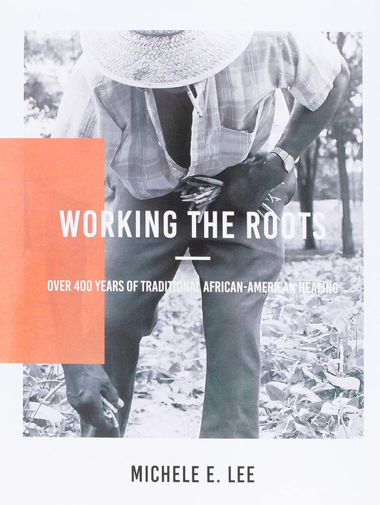 Working the Roots: Over 400 Years of Traditional African American Healing -  Michele Elizabeth Lee