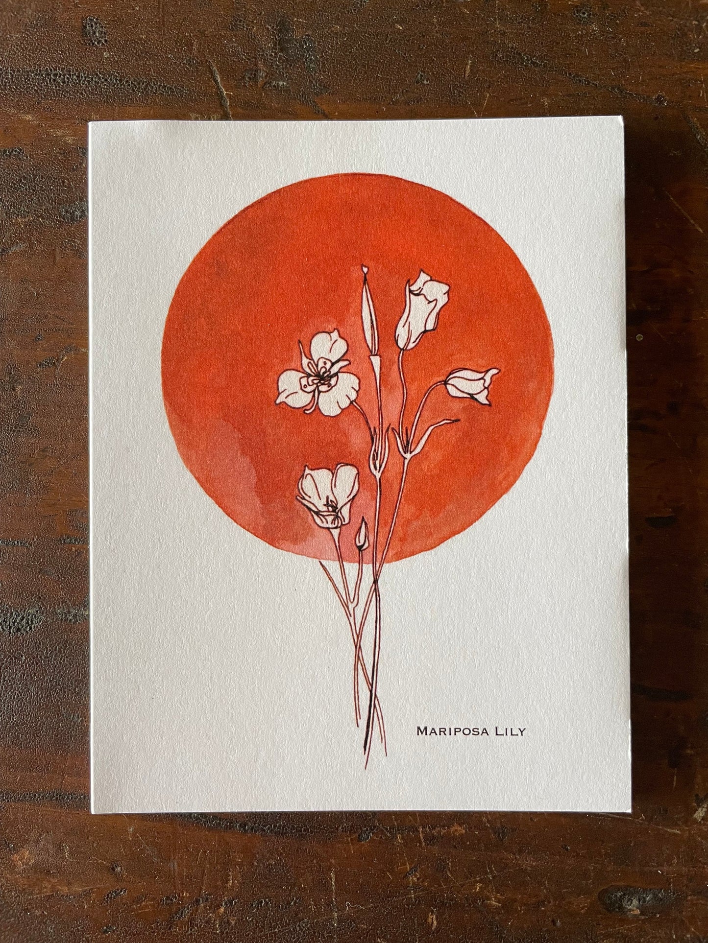 Erika Lee Greeting Cards -