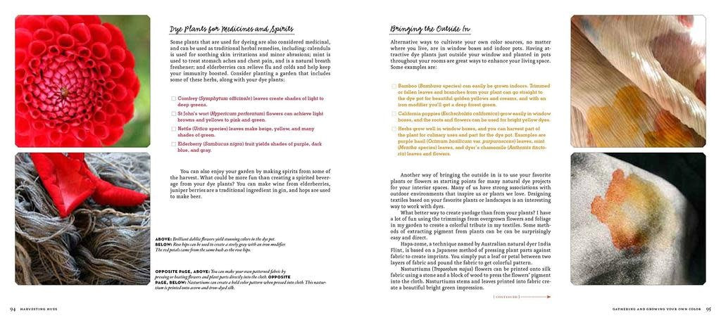 The Handbook of Natural Plant Dyes - Sasha Duerr (Out of print?)