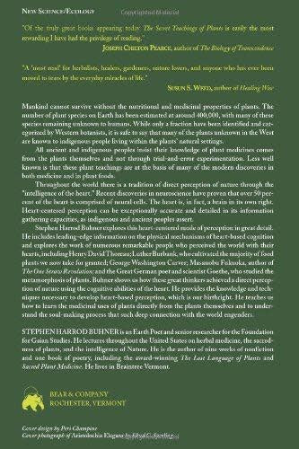 Secret Teachings of Plants - Stephen Buhner