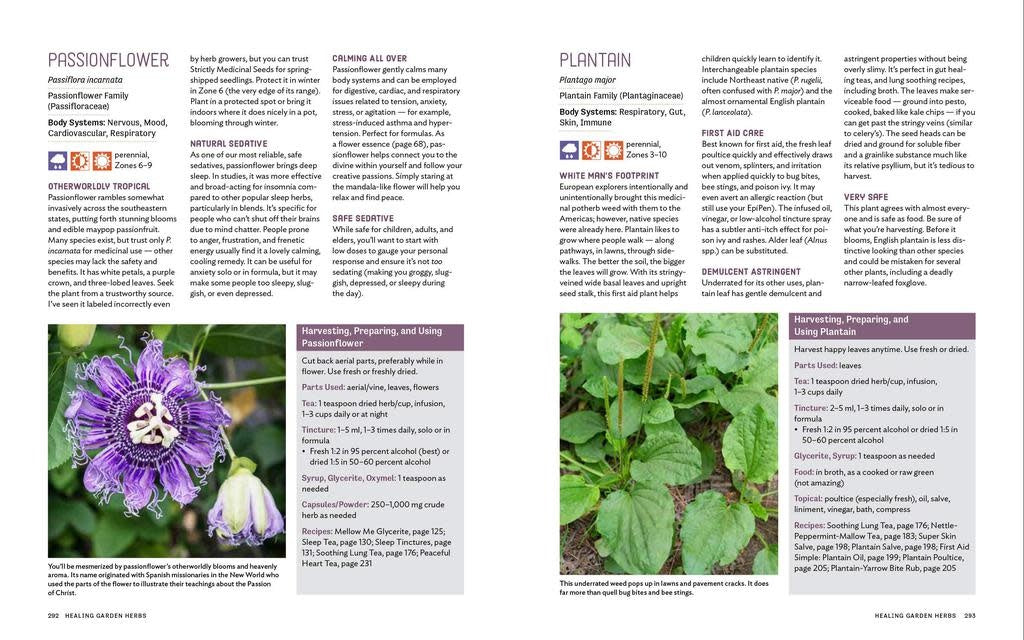 Grow Your Own Herbal Remedies - Maria Noel Groves