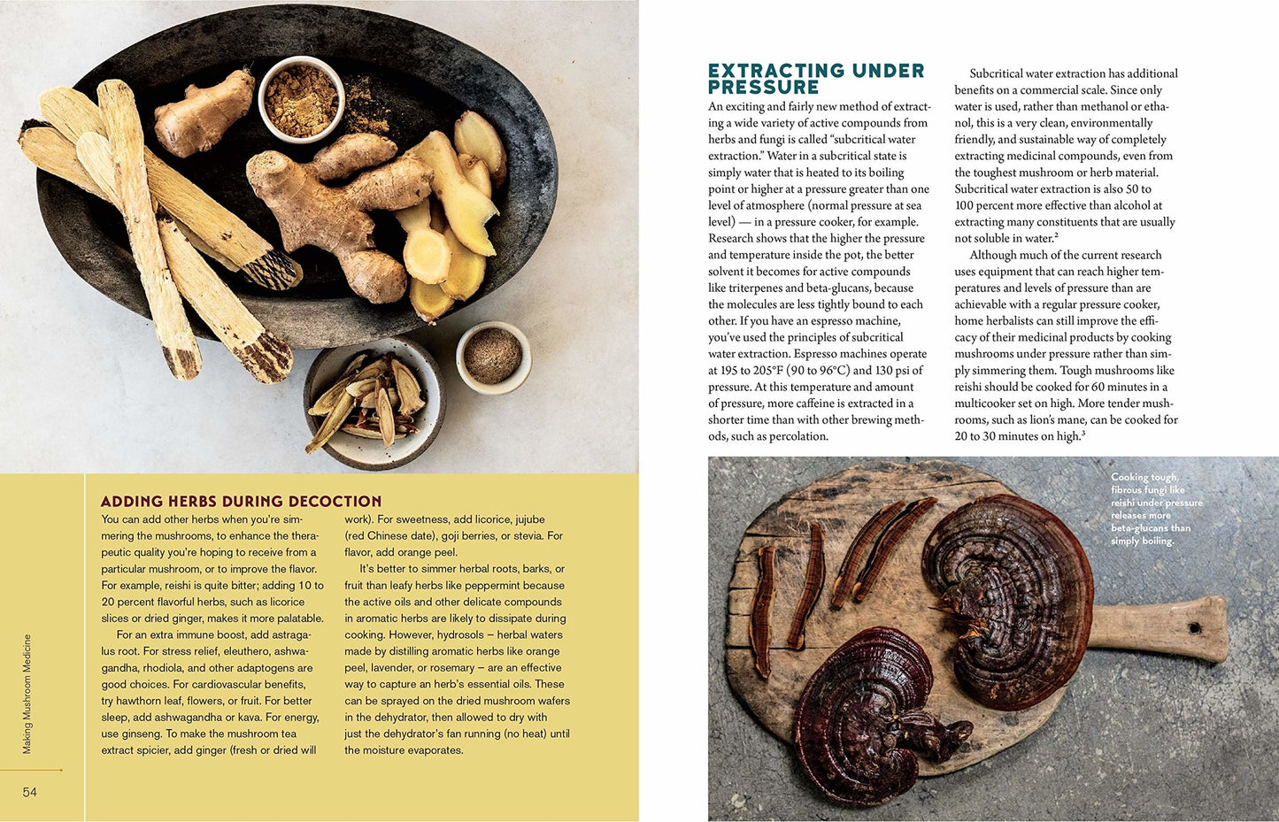 Christopher Hobbs's Medicinal Mushrooms The Essential Guide