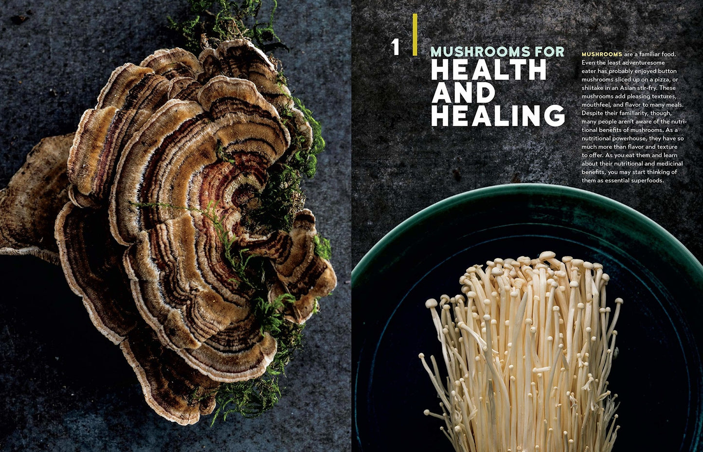Christopher Hobbs's Medicinal Mushrooms The Essential Guide