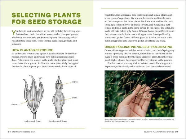 Survival Gardening: Grow Your Own Emergency Food Supply by Sam Coffman