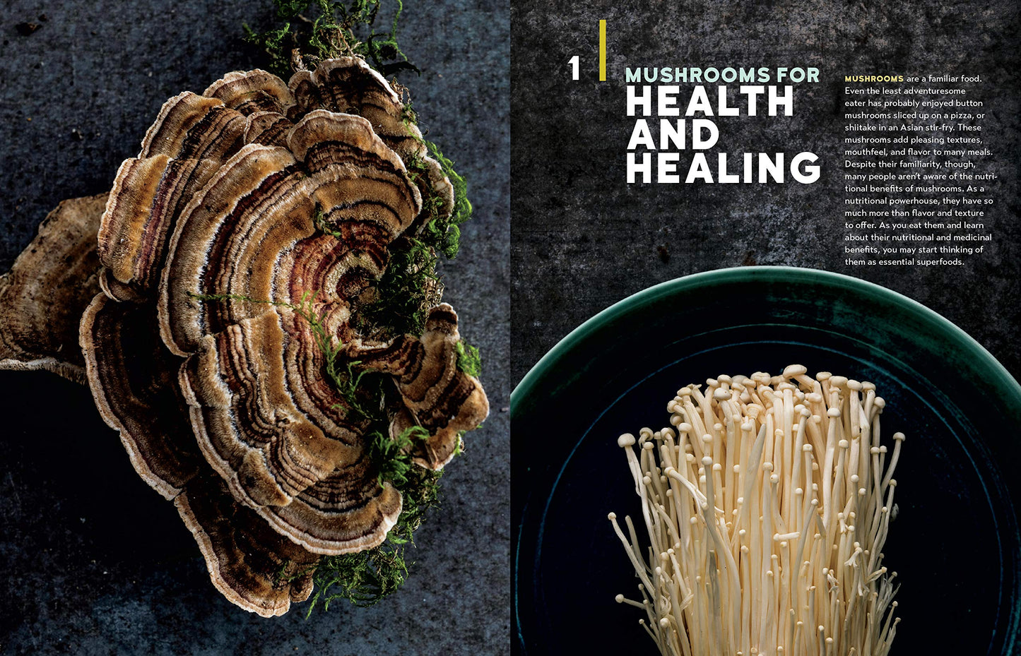Christopher Hobbs's Medicinal Mushrooms The Essential Guide