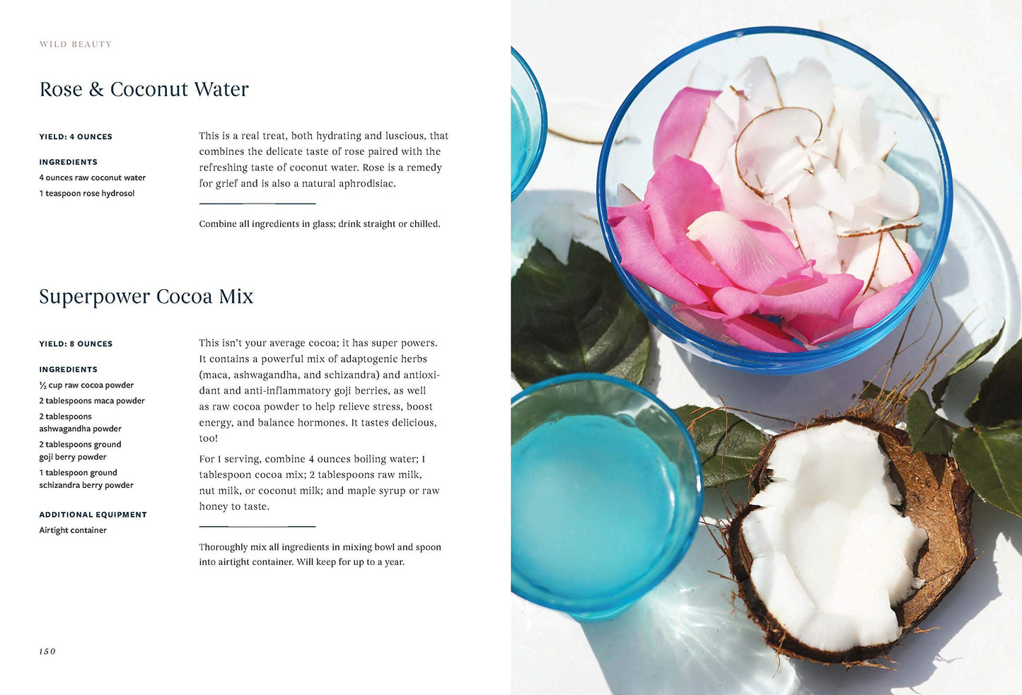Wild Beauty: Wisdom & Recipes for Natural Self-Care -Jana Blankenship