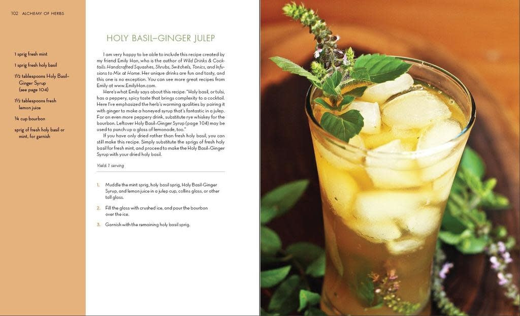 Alchemy of Herbs - Rosalee De La Foret