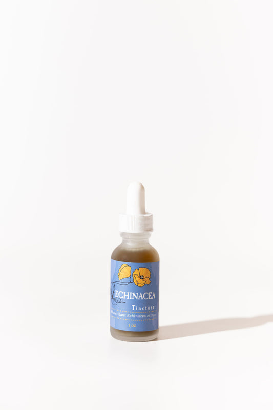 Echinacea Tincture 1 oz bottle