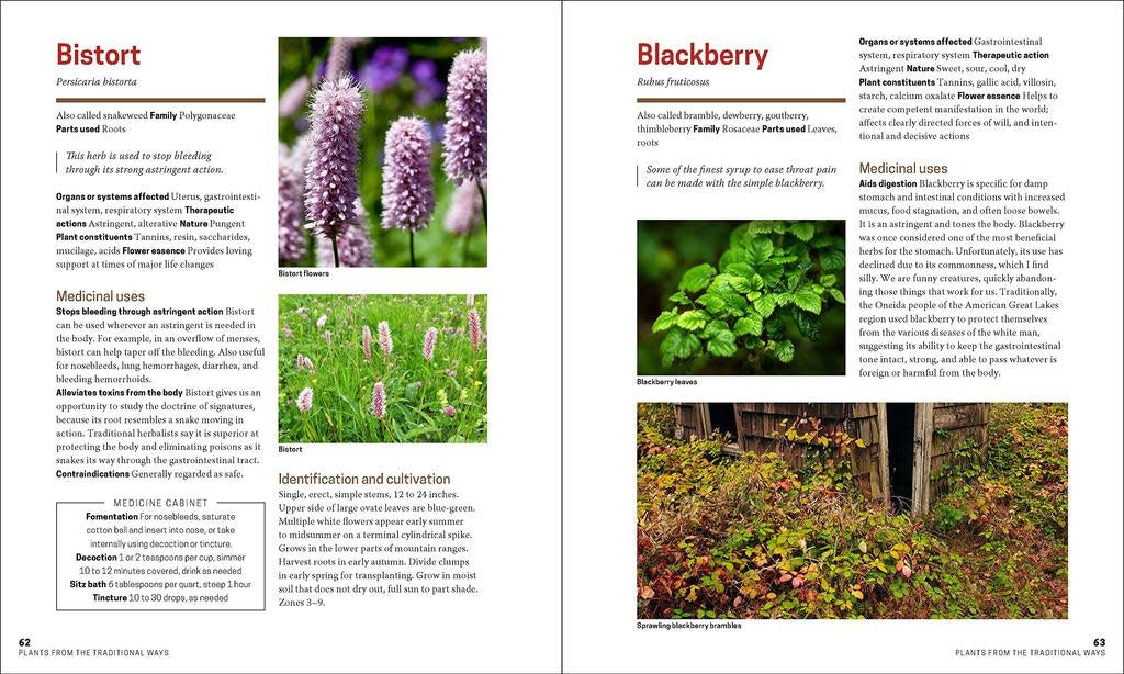 The Herbal Apothecary: 100 Medicinal Herbs and How to Use Them - JJ Pursell