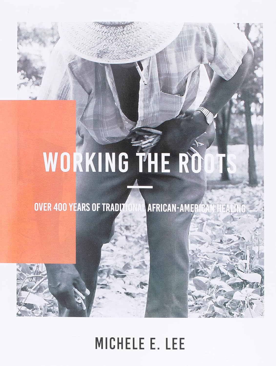 Working the Roots: Over 400 Years of Traditional African American Healing - Michele Elizabeth Lee
