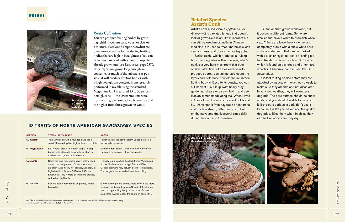 Christopher Hobbs's Medicinal Mushrooms The Essential Guide