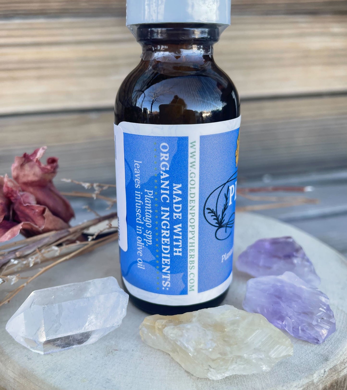 Plantain Leaf Infused Olive Oil, Organic, 1oz bottle