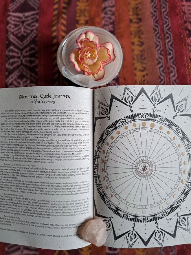 Moon Seeds Planner