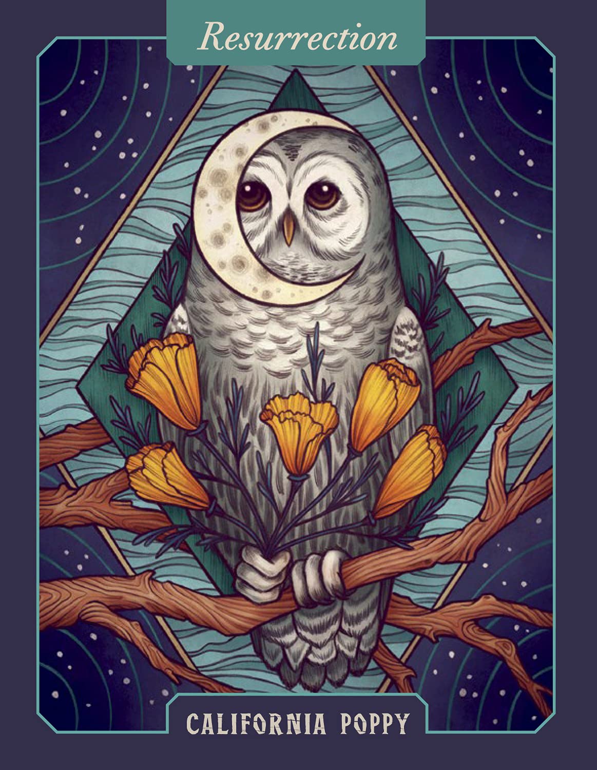 The Illustrated Herbiary ORACLE DECK- Maia Toll