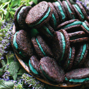 Foraged & Grown: Healing, Magical Recipes for Every Season - Tara Lanich-LaBrie