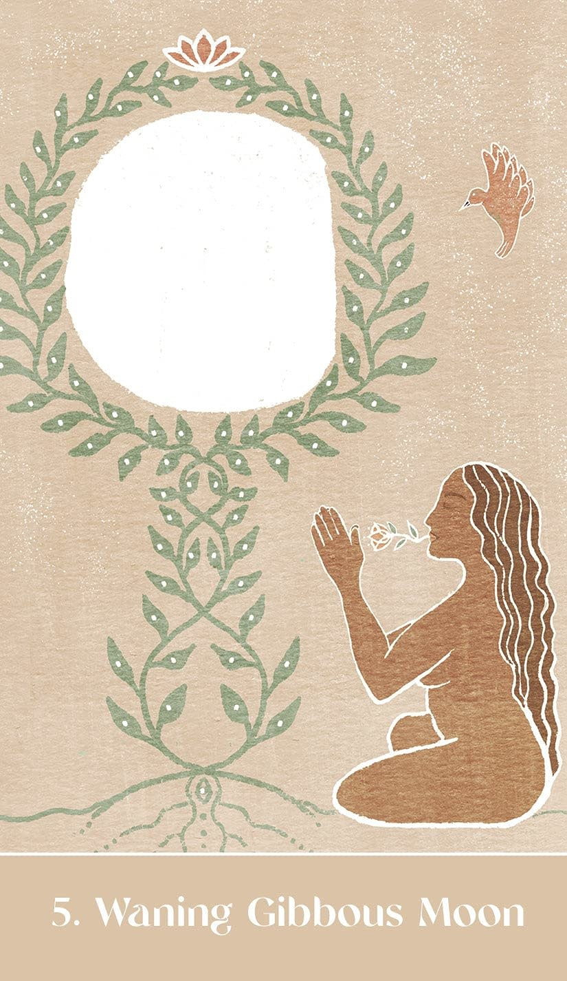 The Sacred Cycles Oracle By Jill Pyle and Em Dewey