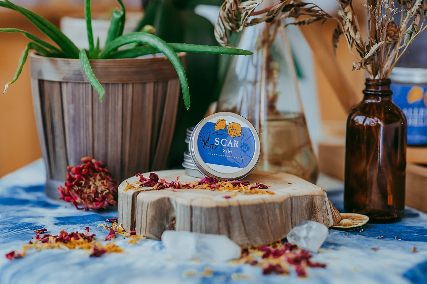 Scar Salve, 1 oz