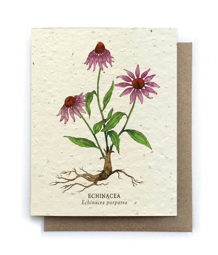 Plantable Seed Card -
