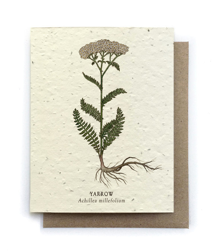 Plantable Seed Card -