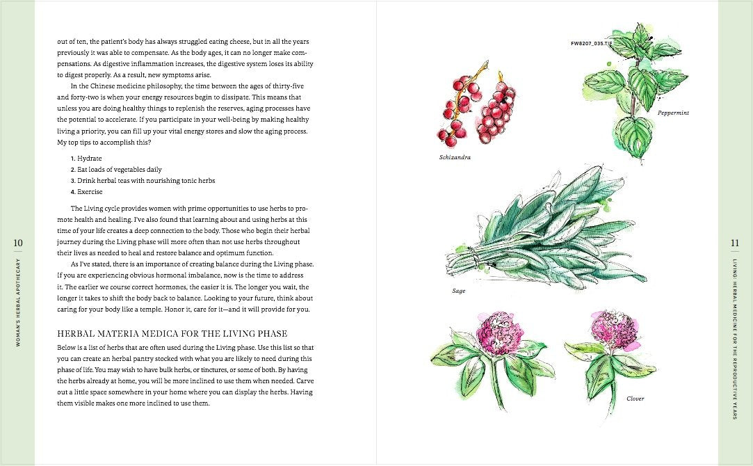 The Woman's Herbal Apothecary - JJ Pursell
