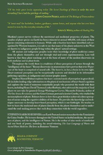 Secret Teachings of Plants - Stephen Buhner