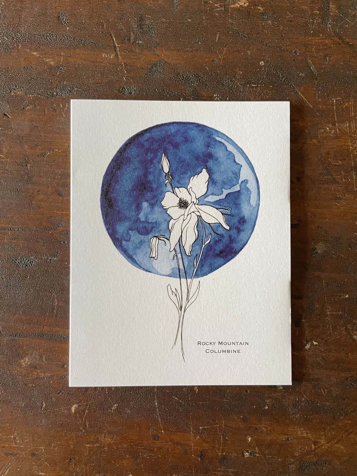 Erika Lee Greeting Cards -