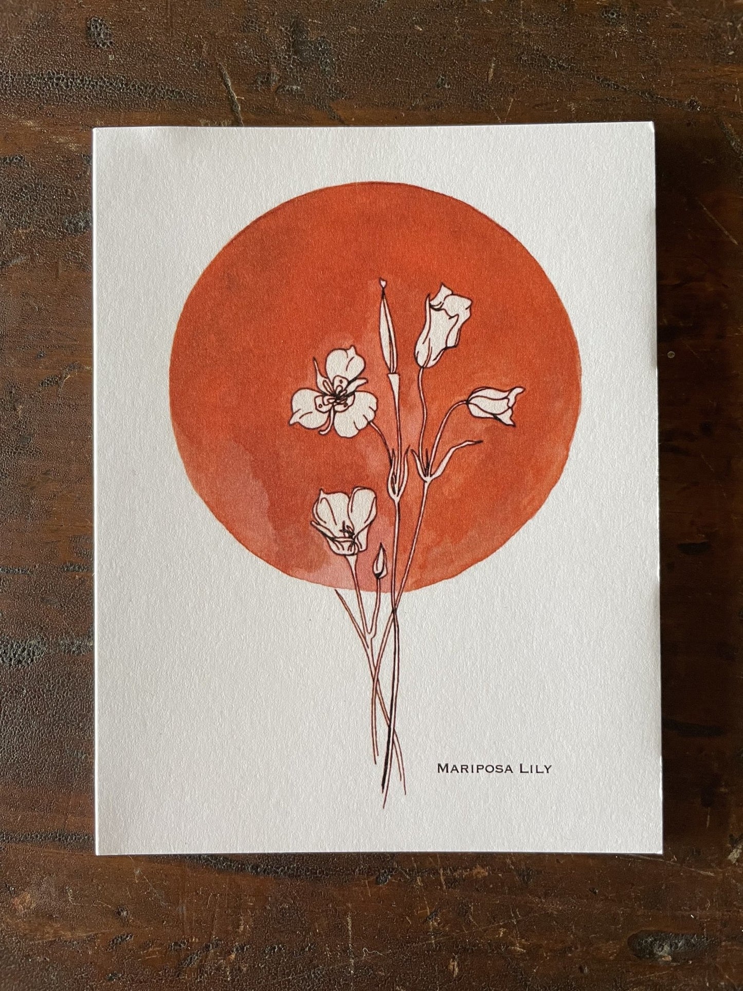 Erika Lee Greeting Cards -