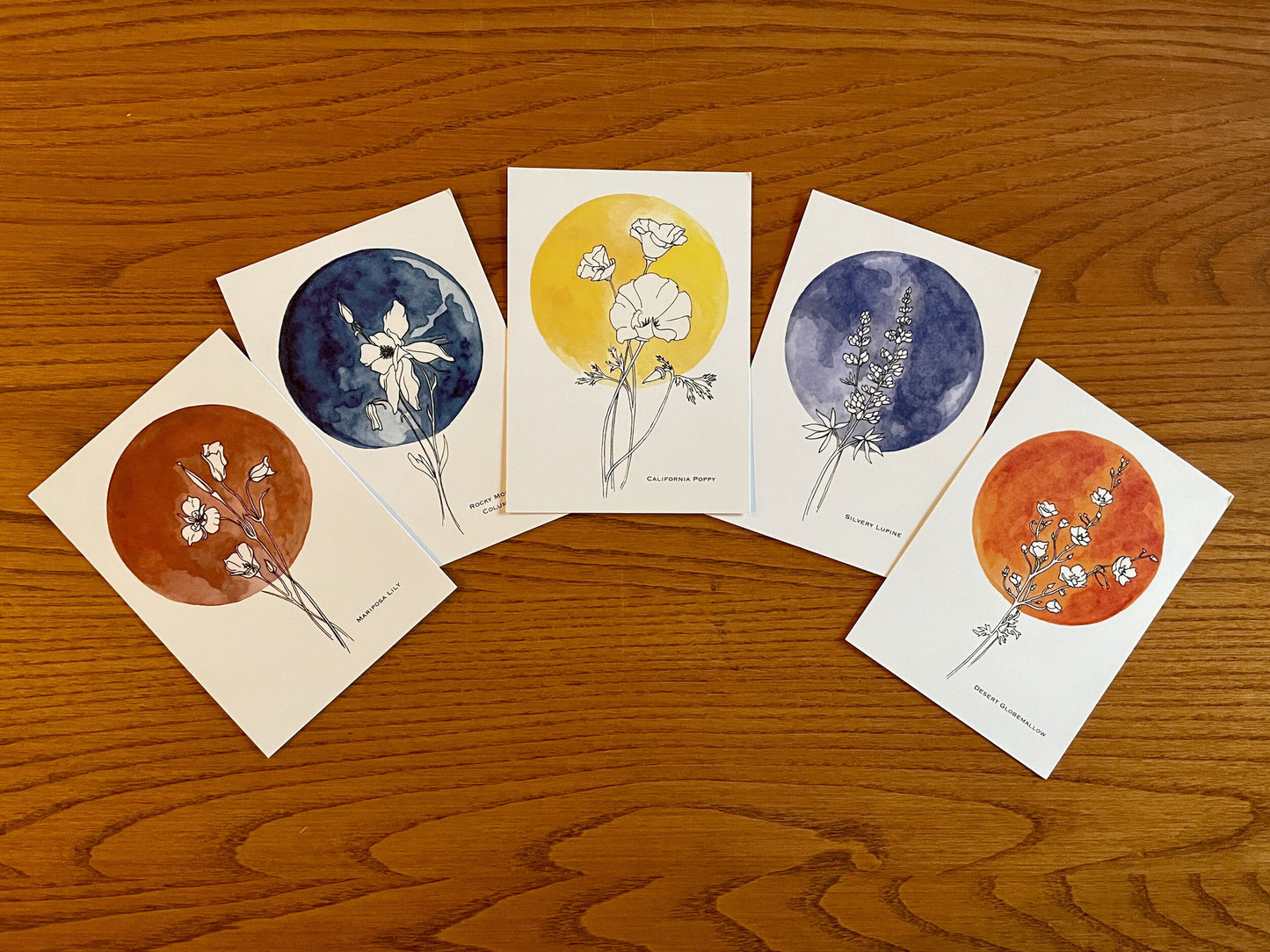 Erika Lee Greeting Cards -