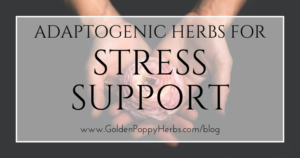 Adaptogenic Herbs For Stress Support