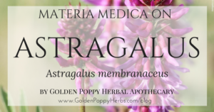 Astragalus Materia Medica