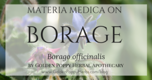 Borage Materia Medica