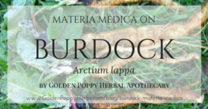 Burdock Materia Medica