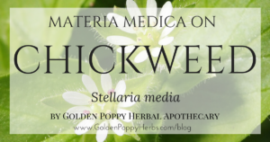 Chickweed Materia Medica