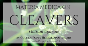 Cleavers Materia Medica