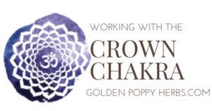 Working With The Crown Chakra