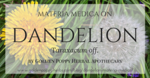 Dandelion Materia Medica