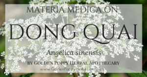 Dong Quai Materia Medica