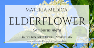 Elderflower Matieria Medica