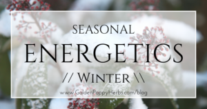Herbal Energetics of Winter
