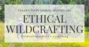 Ethical Wildcrafting