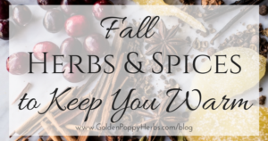 Fall Herbs And Spices To Keep You Warm