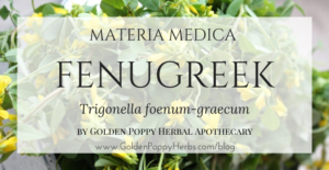 Fenugreek Materia Medica